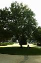 lodi (25)
